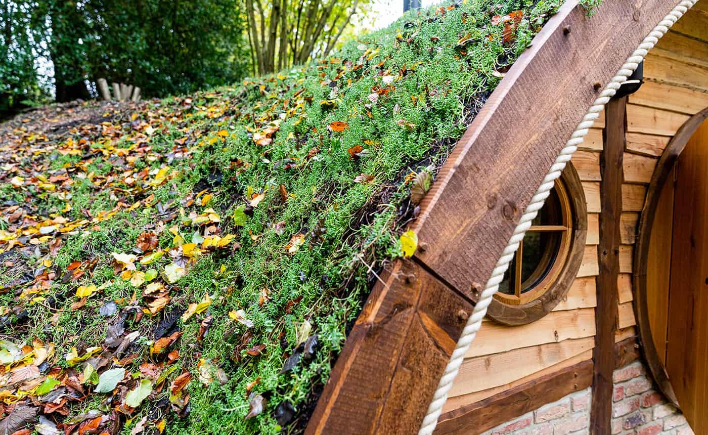 Hobbit small wood burning stove installed in a cabin designed by Blue Forest 6