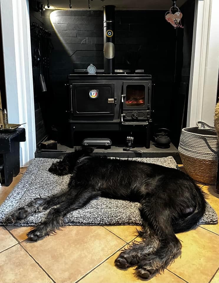 438172898 7508316759237138 7840162851691448839 n